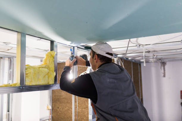 Best Insulation Maintenance and Repair in Jarales, NM